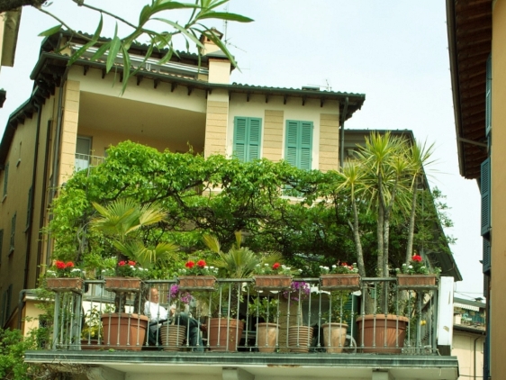 Balcon cu plante