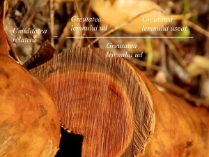 
    Masurarea umiditatii lemnului